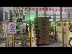 Hệ thống robot palletizer TAEMS cho hộp